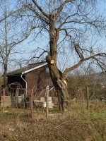 /album/fotogalerie-brigady-2019/p1040847-jpg1/
