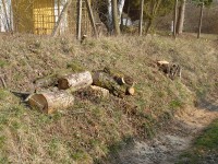 /album/fotogalerie-brigady-2019/p1040851-jpg1/