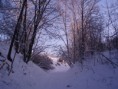 /album/zima-2010-2011/rena-v-zime-12-2010-005-jpg/